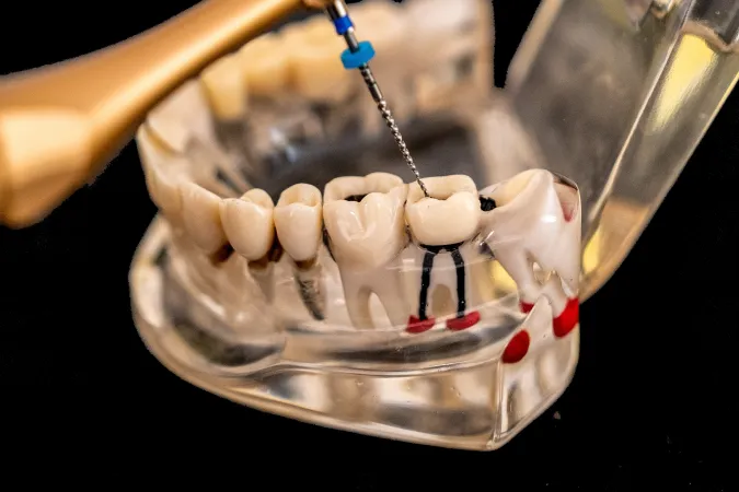 Divine Dental